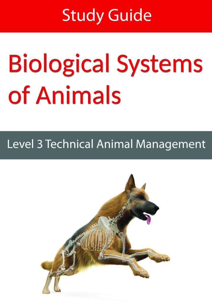 Level Biological Systems of Animals